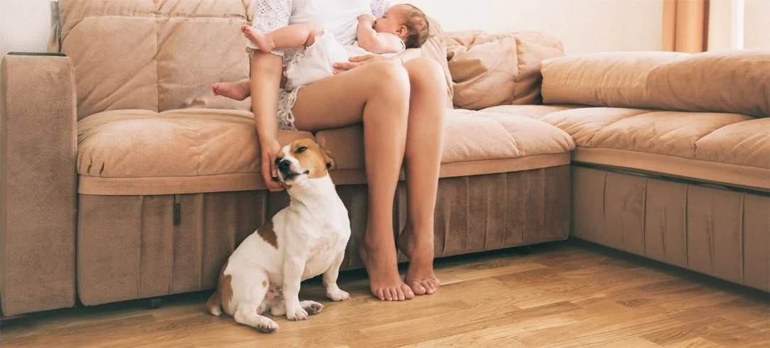 STOP SCROLLING: This British Photographer Captured Dogs' Souls Like No One Else…